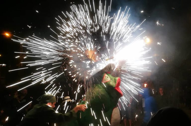 Granota de Can Bassa