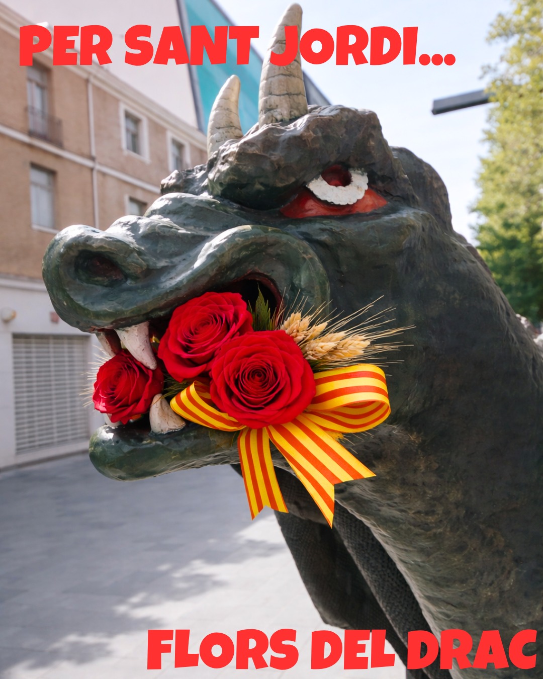 Sant Jordi 23 Abril 2026